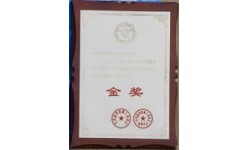 金奖